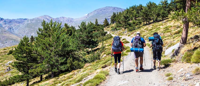 3 días y 2 noches en Sierra Nevada (Granada) + Media Pensión